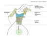 jirang-gallery-4